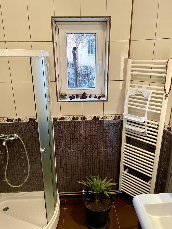 Mosaico Alfetta Hostel Timişoara Eksteriør bilde